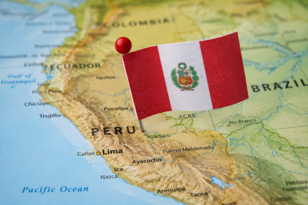 RINGANA PERÚ NEGOCIO